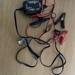 Smart Battery Charger