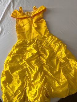 Princess Belle costume
