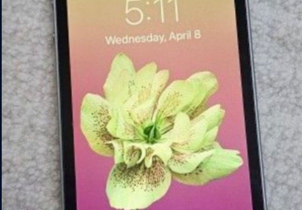 iPhone. 5s 5c 5 Plus