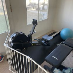 Rogue Concept 2 Rowing Machine