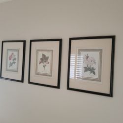 Floral Prints X3 . Sz 15x 13 Each $8 