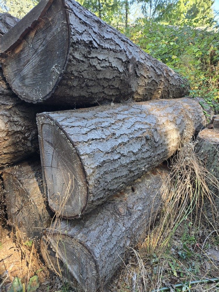 FIR Saw LOGS