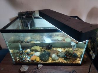 Aquarium