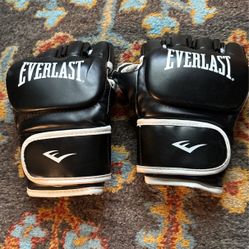 Everlast UFC gloves