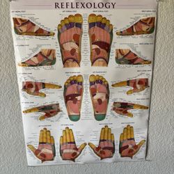 Reflexology Laminate Poster