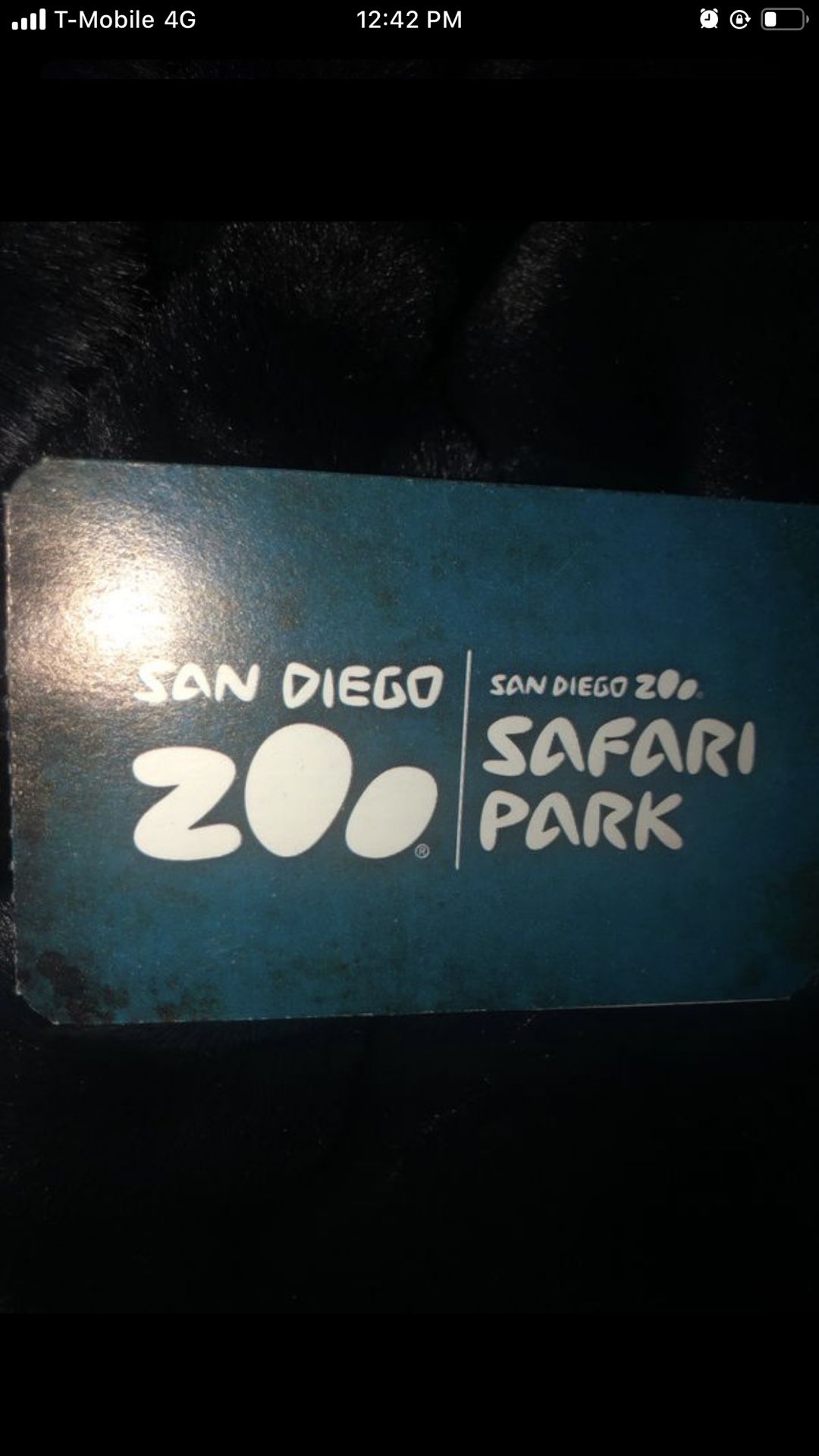 San Diego Safari Park or Zoo