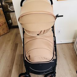 Stroller Or Double Stroller 