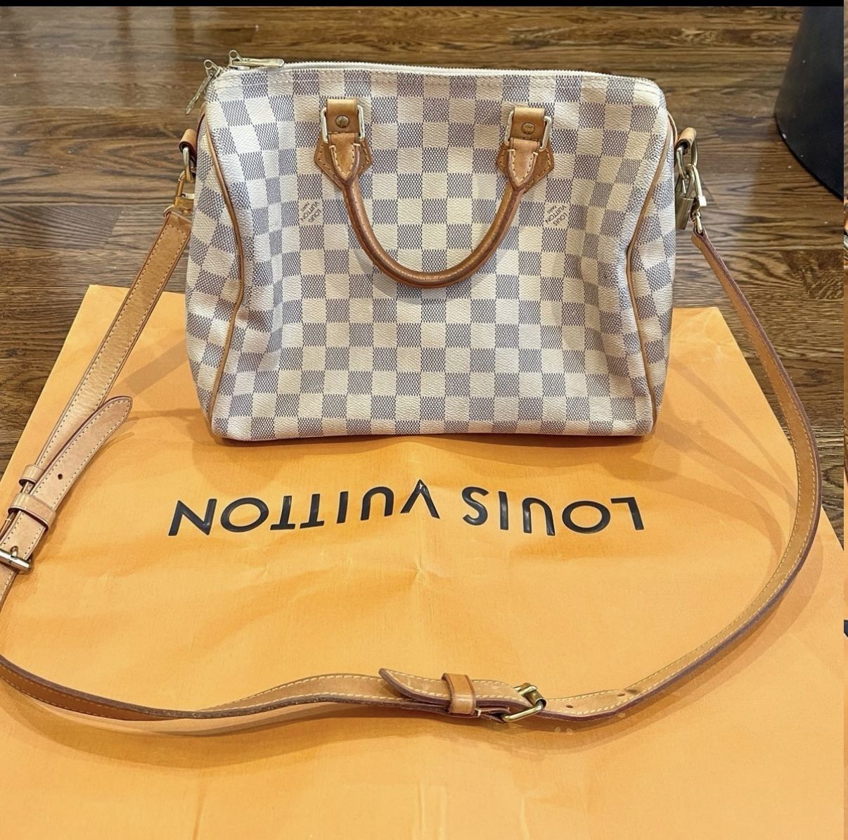 Louis Vuitton Bag 