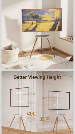 ECOTINY Tripod Easel White TV Stand – $75 OBO