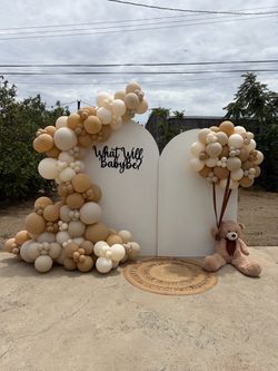 Gender Reveal Backdrop