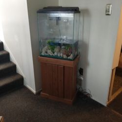 Fish Tank Aquarium With Stand Led Light Top.