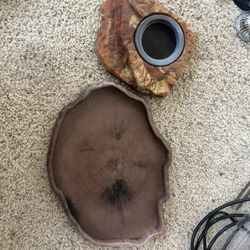 Reptile food dish 