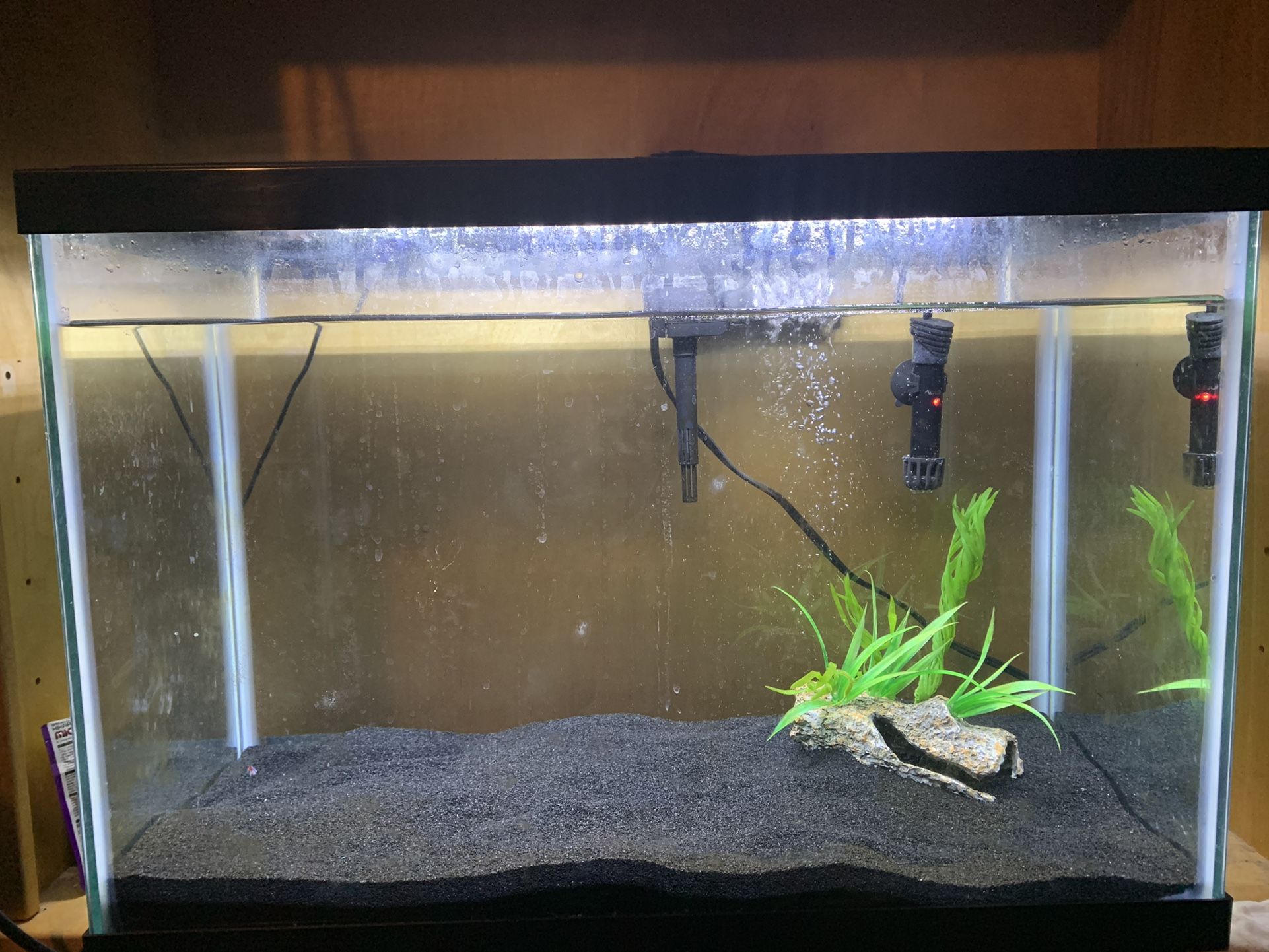 20 Gallon Fish Tank