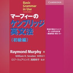 Basic Grammar in Use Japanese Edition: Self-study Reference and Practice for Students of English (Paperback)