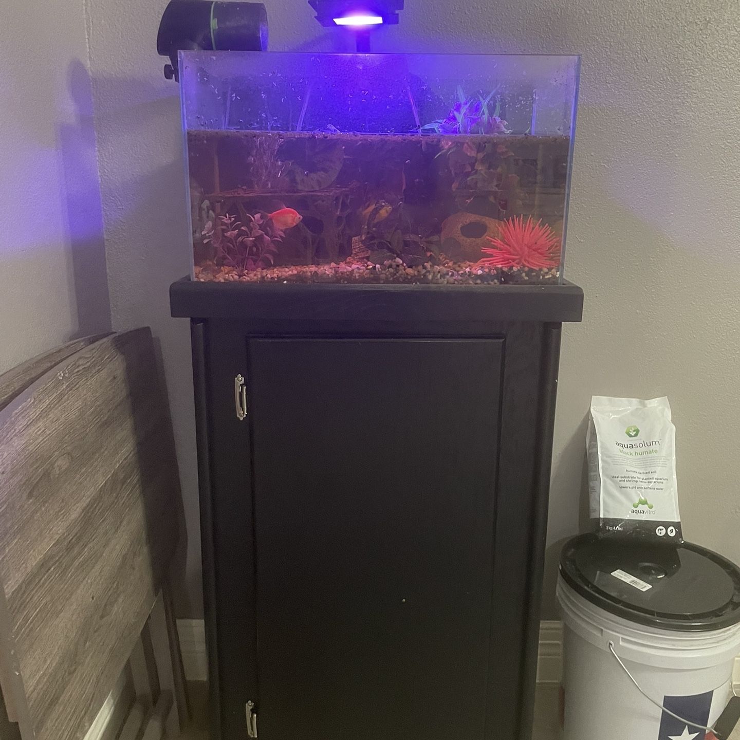10 Gallon Fish Tank With stand, Fish Can Come With It, As Well As Auto Feeder And Fluval Light