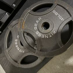 2x 45lb Olympic Size Plates 