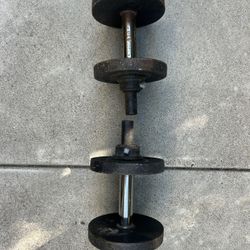 2 Dumbbells - 10 Pounds Each 
