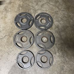 Curl Bar And Weights 