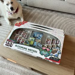 Blooming Waters 151 Premium Box