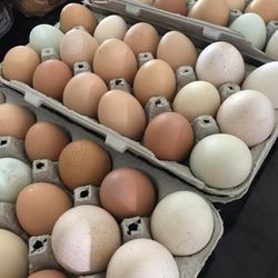 Huevos