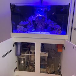 Reef Tank