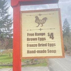 Freeze Dried Brown Chicken Eggs
