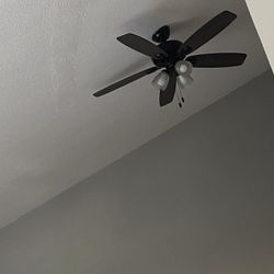 Veils Fan  For Sale
