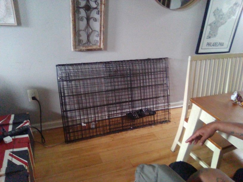 Large Dog Crate