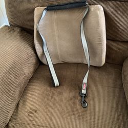 Kong Dog Leash