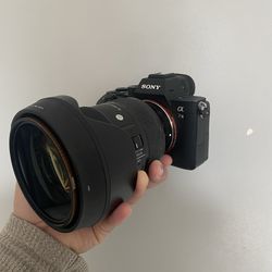 Sony a7iii + sigma 24-70