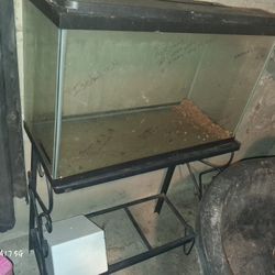 29 Gallon Aquarium with Black Metal Stand