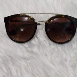 PRADA Sunglasses 23SS Catwalk 2AU6S1 Havana Brown Gradient