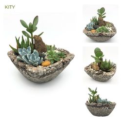 Succulent Arrangements Mother’s Day 