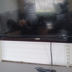 Sanyo 40inch TV 