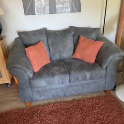 Lightly Used Graphite Gray Sofa & Loveseat Set 