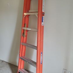 6ft Werner Ladder 