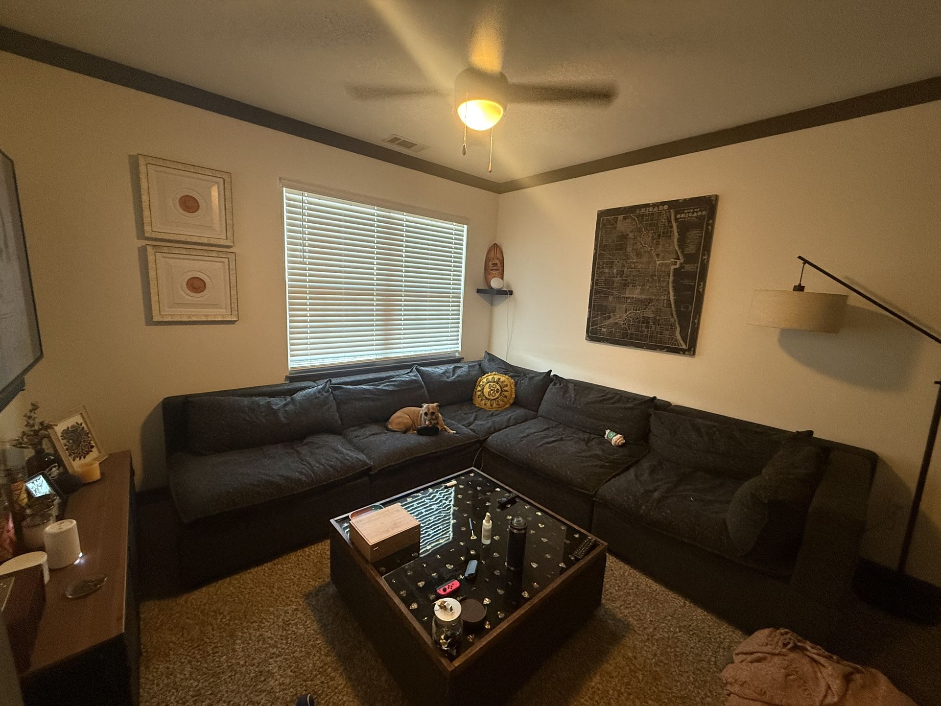 Modern Black Sectional Sofa Albany Park brand–  Excellent Condition!