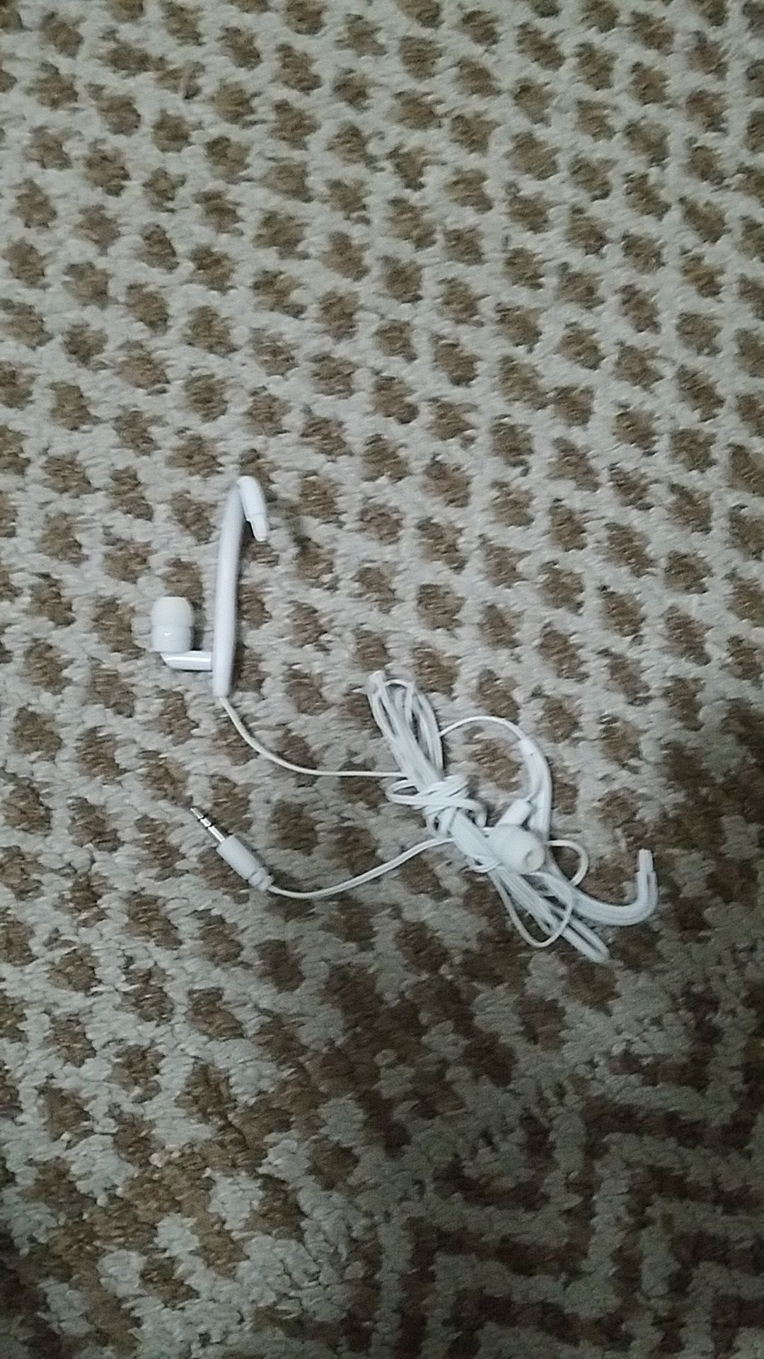 Earbuds