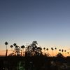 Lev