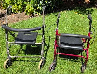 Two walkers