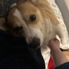 Jake