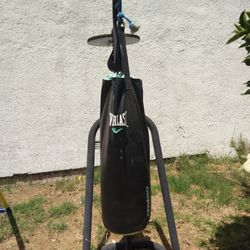 Punching Bag Stang 
