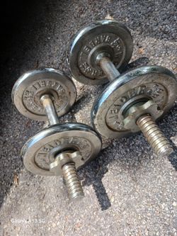 Weider dumbbells pair