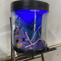 Half Moon Aquarium Tank 15Gallons + Kit
