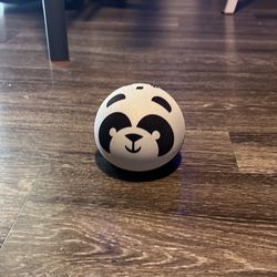 Echo panda Alexa