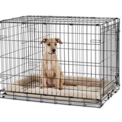 Large Dog Crate
