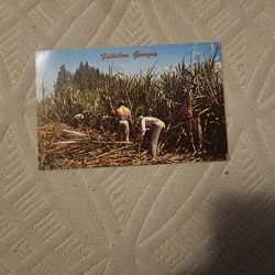 Folkston Ga Vintage Postcard 