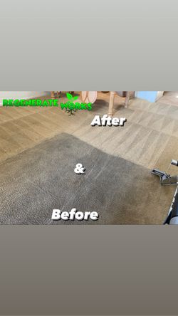 Deep Carpet Cleaner