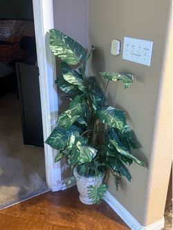 Indoor fake plant
