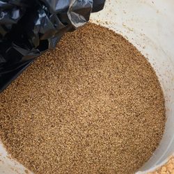 Spent Grain Chicken Feed